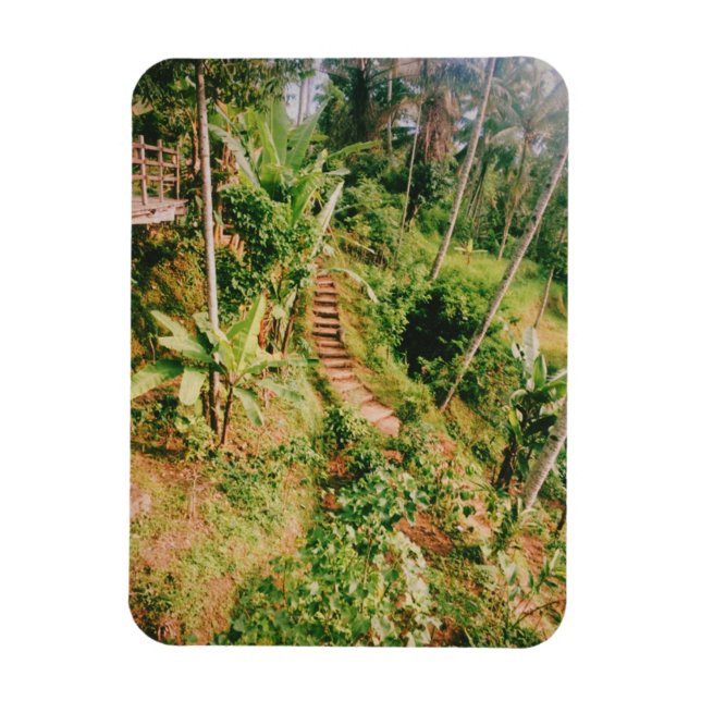 Bali rainforest Stairway  Magnet (Vertical)