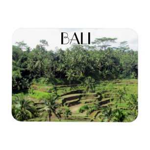 bali rice paddies magnet