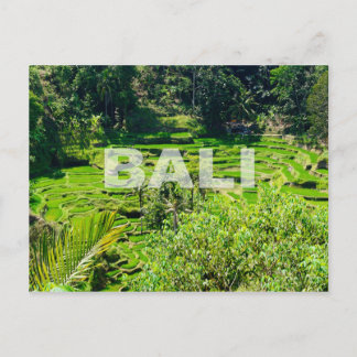 Bali Rice Terraces Postcard