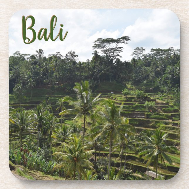 Bali Ubud Terraced Rice Fields Coaster (Front)
