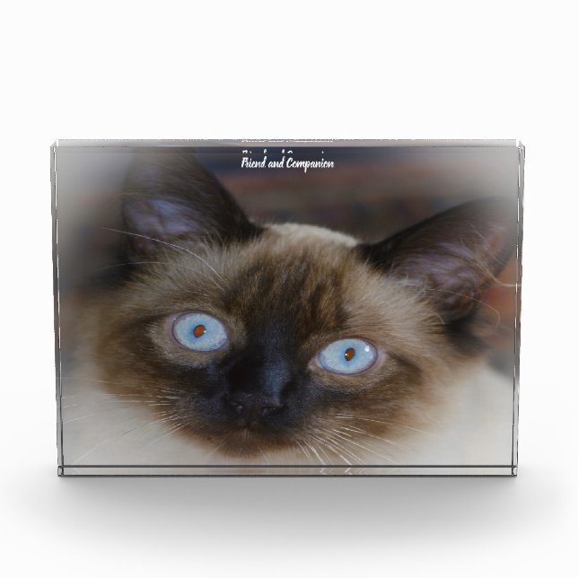 Balinese Cat Photo Block (Front)