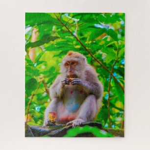 Balinese long tailed Macaques. Jigsaw Puzzle