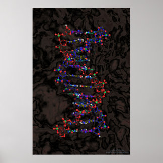 Ball and Stick against Granite Poster