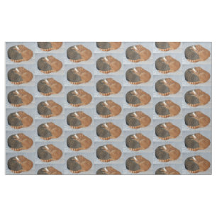 Ball of Cuteness Fabric