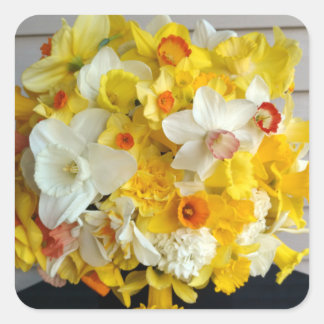 Ball of Gorgeous Daffodils Square Sticker