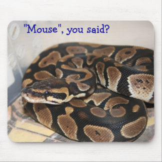 Ball Python interested in mouse. Mouse Pad