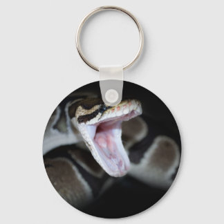 Ball Python Key Chain