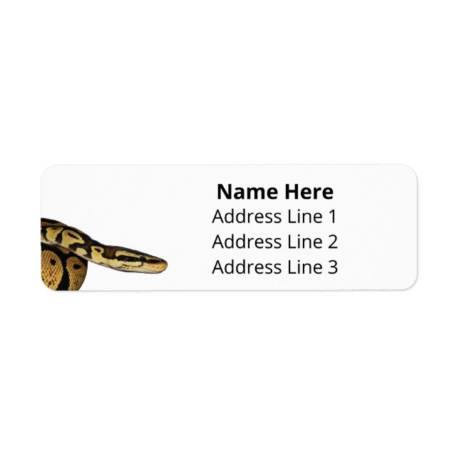 Ball Python Pet Snake Return Address (Front)