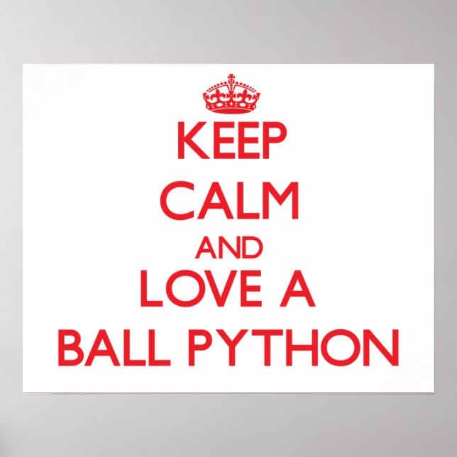 Ball Python Poster (Front)