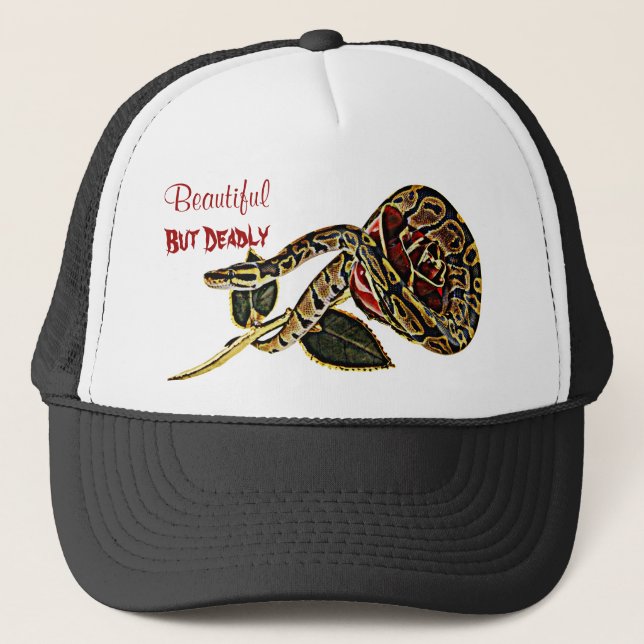 Ball Python Snake Hat Dangerous Beauty (Front)