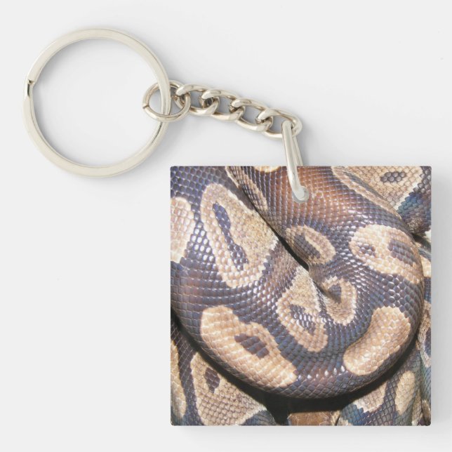 Ball Pythons Key Ring (Front)
