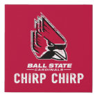 Ball State University Vintage