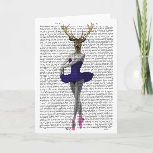 Ballerina Deer in Blue Card (Front)