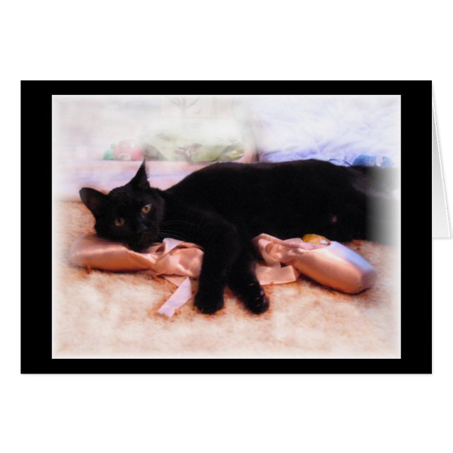 Ballerina Feline (Front Horizontal)
