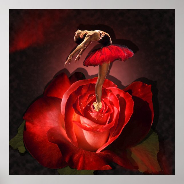 Ballerina Rose - Poster (Front)