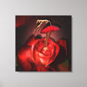 Ballerina Rose - Wrapped Canvas