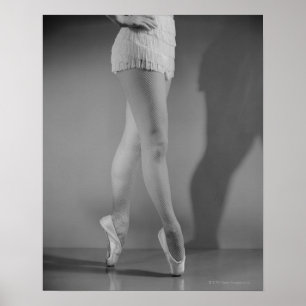 Ballet Dancer Poster