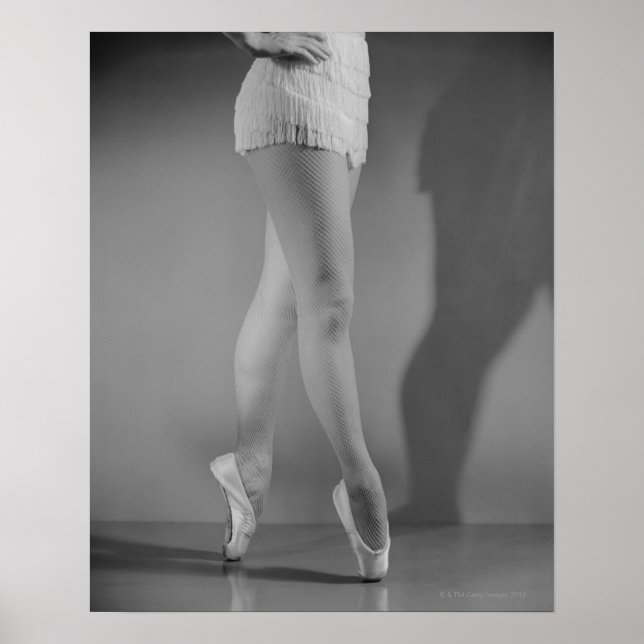 Ballet Dancer Poster (Front)