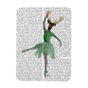 Ballet Deer in Green Magnet