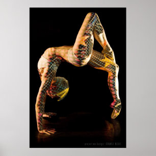 Ballet Poster-4562XLG Poster