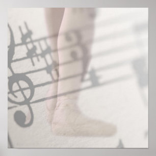 ballet shoes musical notes poster
