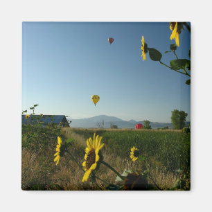 Balloon Festival Magnet