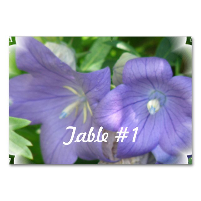 Balloon Flower Blossom Table Number (Front)