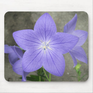 Balloon Flower Mousepad
