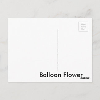 Balloon Flower Postcard