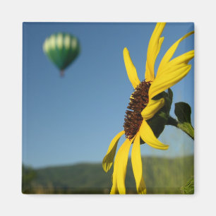 Balloon Magnet