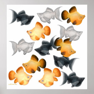 Balloon Mollies Tropical Fish Print