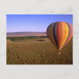 Balloon Ride Postcard