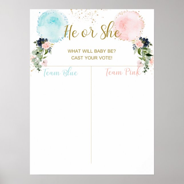 Balloons Cast your vote, baby girl or boy  Poster (Front)