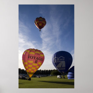 Balloons taking off poster