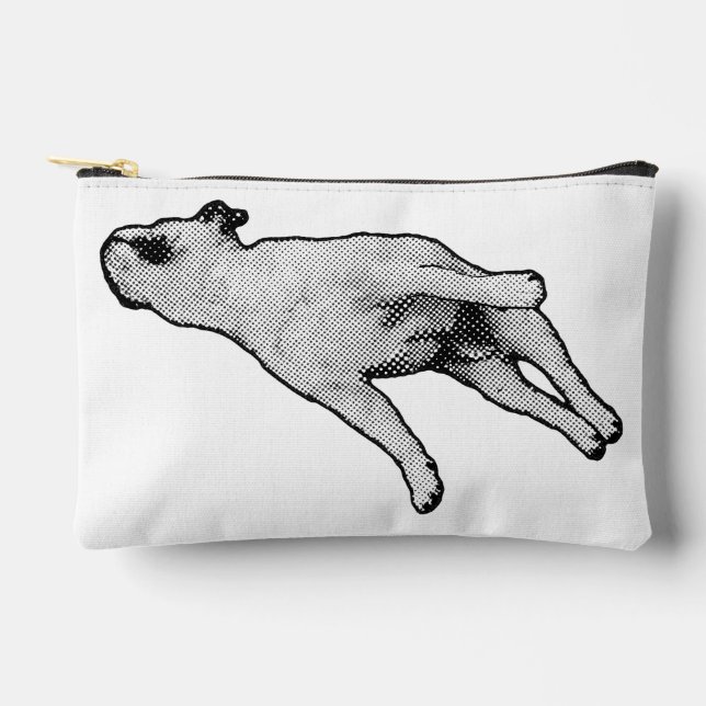 Ballroom-Quiet Companion Accessory Pouch (Front)
