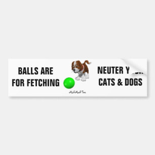 Balls Are For Fetching Bumper Sticker