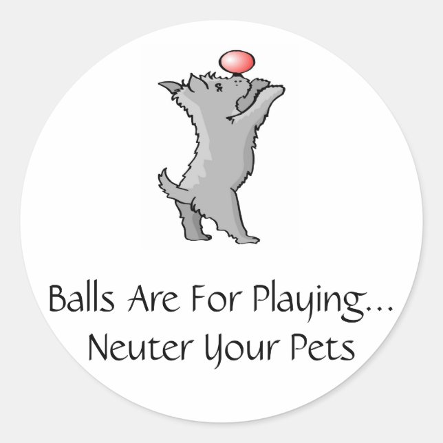 Balls Are For Playing Classic Round Sticker (Front)