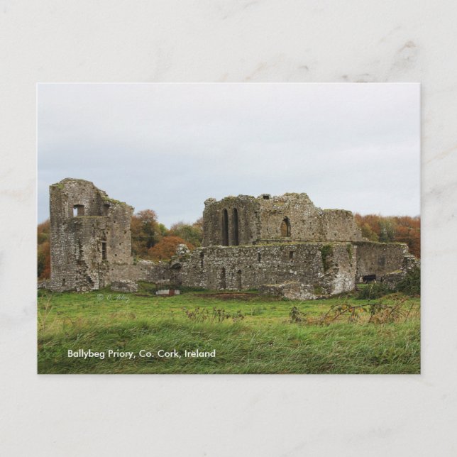 Ballybeg Priory, Ireland Postcard (Front)
