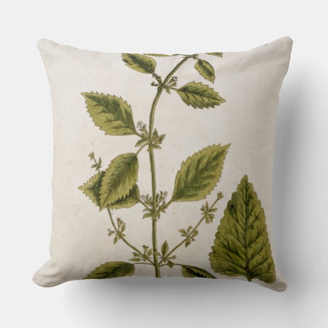Balm, plate 27 from 'A Curious Herbal', published Cushion (Front)