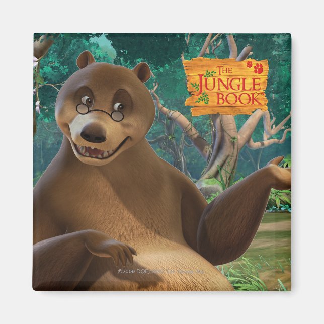 Baloo 4 magnet (Front)