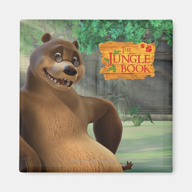 Baloo 5 magnet (Front)