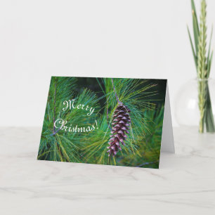 Balsam PIne Holiday Card