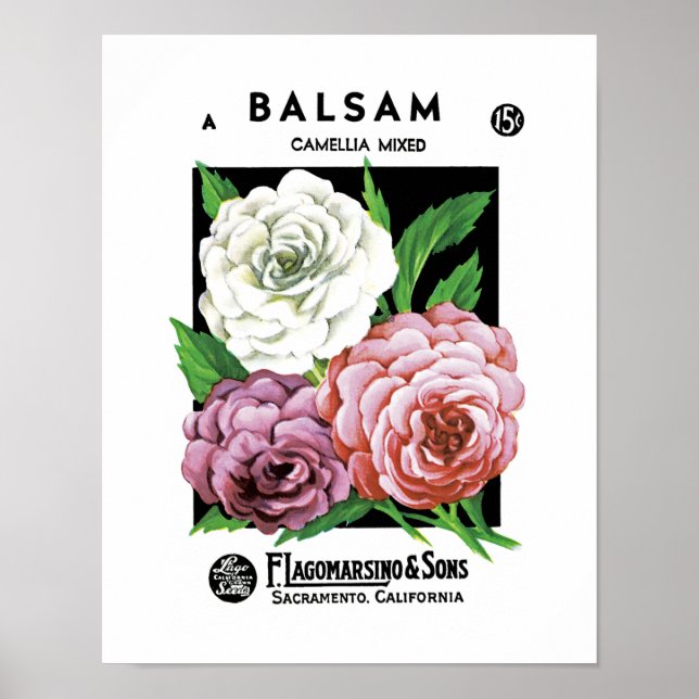 Balsam Seed Packet Label Poster (Front)