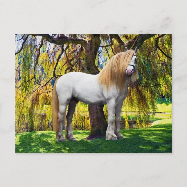 "Balthasar" Postcard (Front)