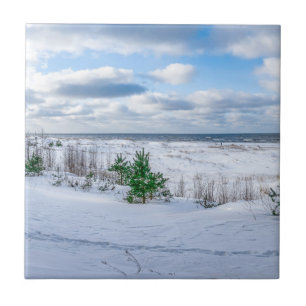 Baltic sea coast covered in snow in winter tile