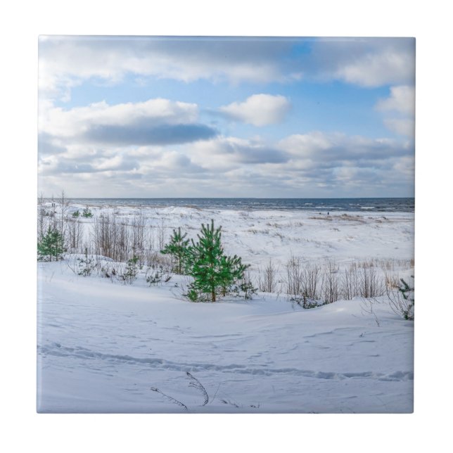Baltic sea coast covered in snow in winter tile (Front)
