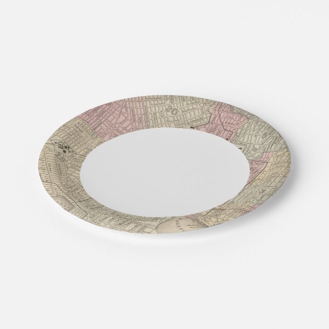 Baltimore 4 paper plate (Angled)