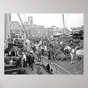 Baltimore Banana Boats Poster