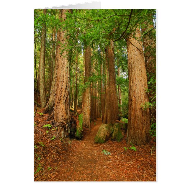 Baltimore Canyon (Front)