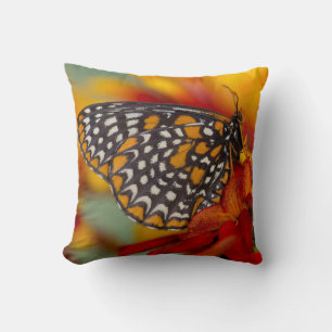 Baltimore-Chequered Butterfly Cushion